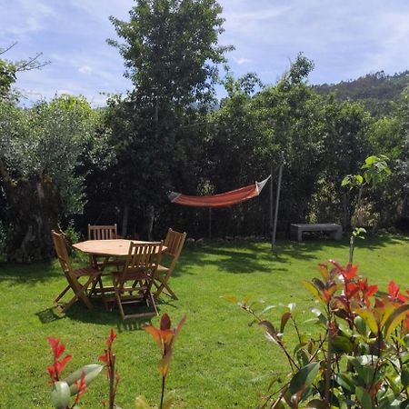 Sotam Country House En342 Góis Exteriér fotografie